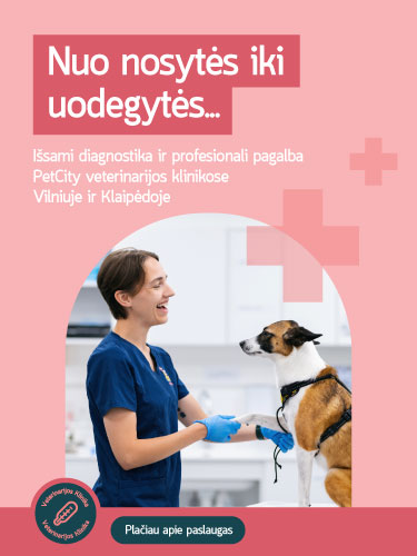 PetCity veterinarijos klinikos