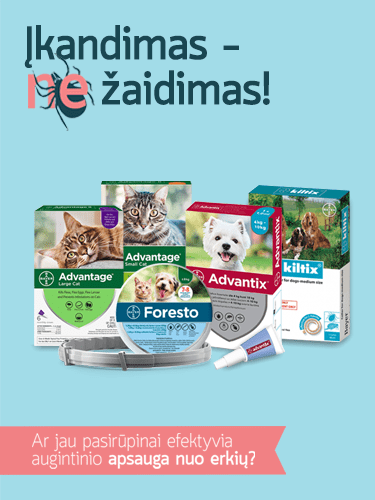 Įkandimas - ne žaidimas