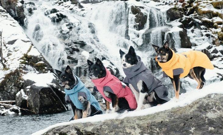 Gyvūnų aprangos TOP naujienos – kad drėgmė ir šaltis netrikdytų žiemos džiaugsmo 