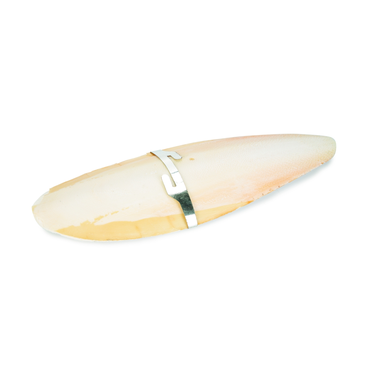 Beeztees Cuttlefish mineralinis akmuo, 20g - 