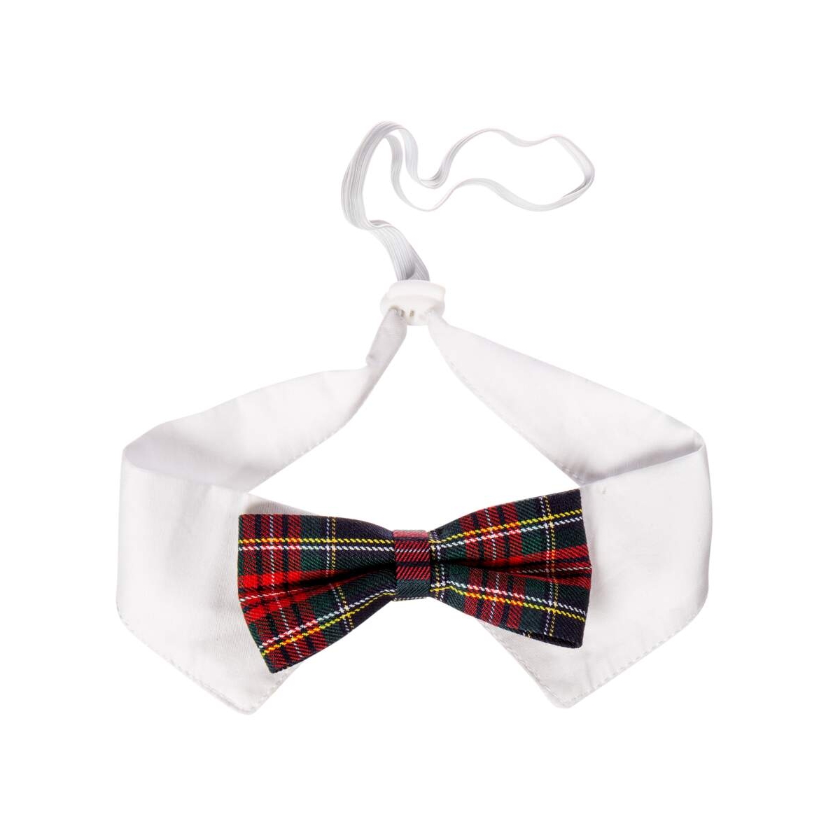 Little & Bigger šventinė peteliškė šunims, M/L dydis -  1