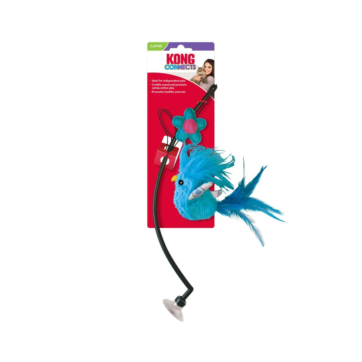 KONG CONNECTS ŽAISLAS KATĖMS TVIRTINAMAS PRIE LANGO - 