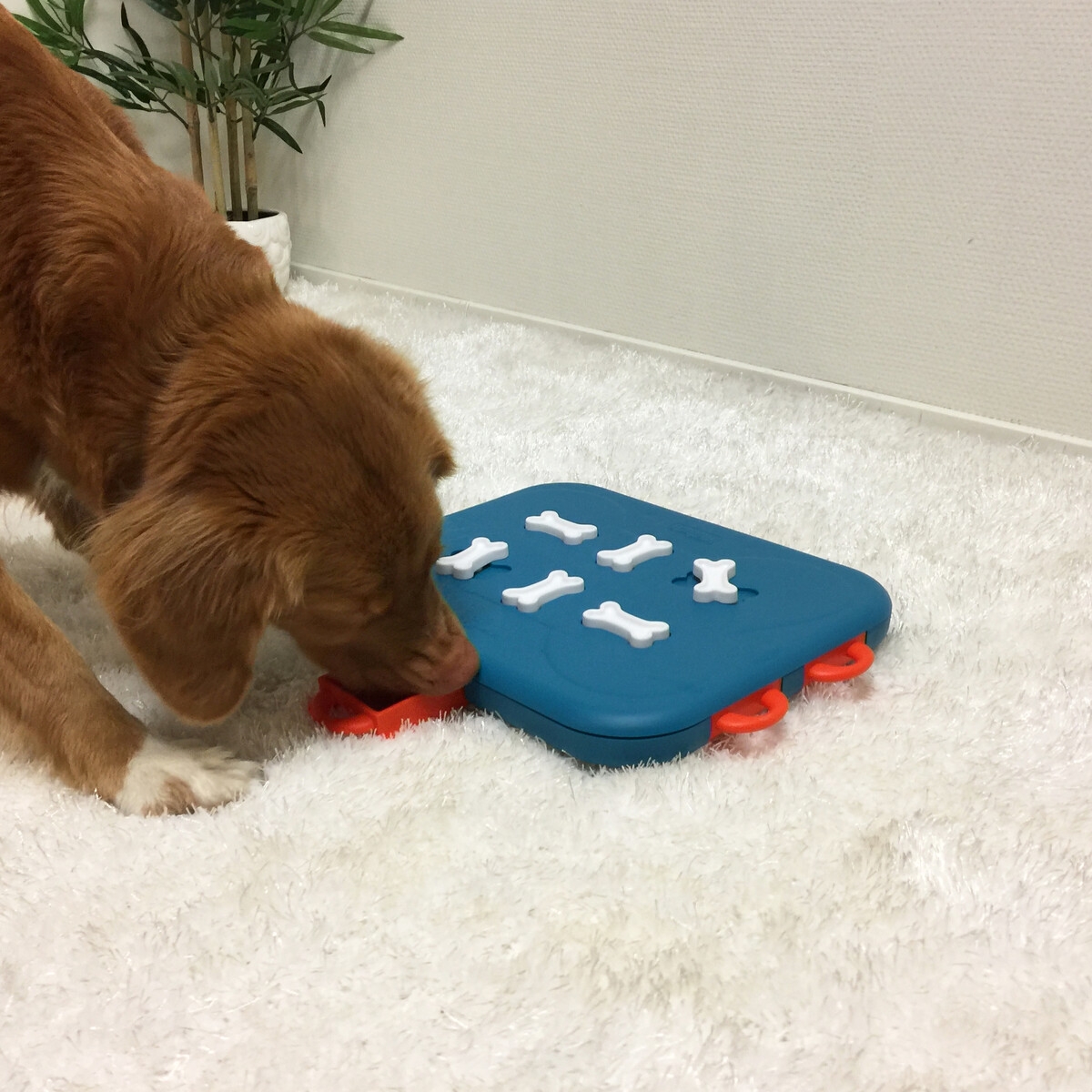 Nina Ottosson Dog Casino interaktyvus žaislas šunims - 