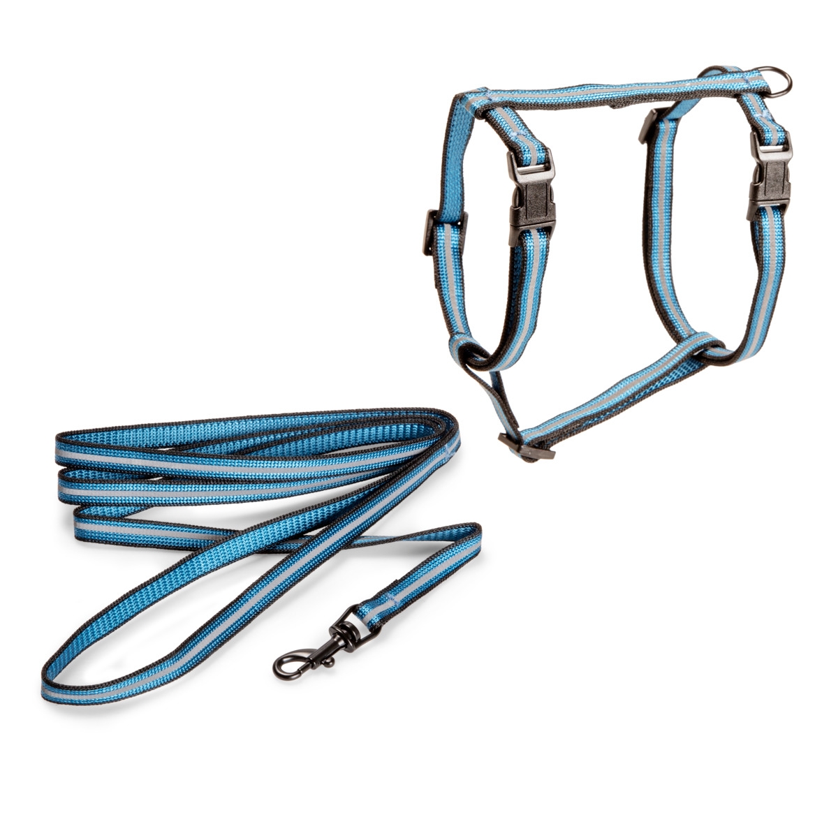 BASIC CAT ŠVIESĄ ATSPINDINTIS  PETNEŠŲ RINKINYS, M, MĖLYNAS* - 