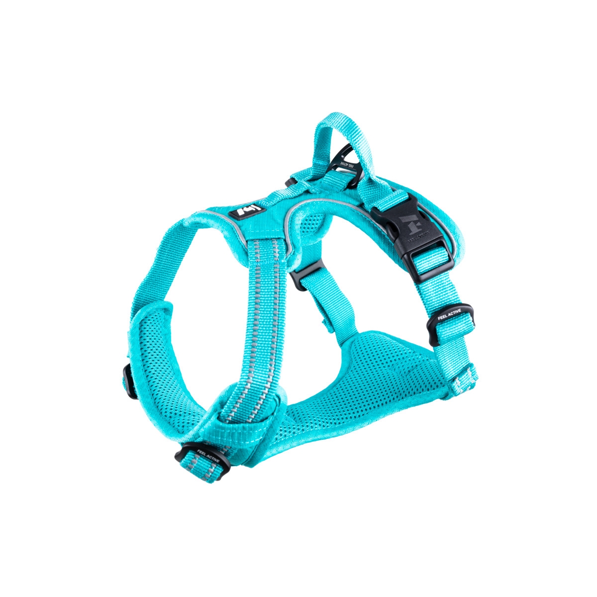 FA TRENIRUOČIŲ PETNEŠOS, S, TURKIO SPALVOS* - 