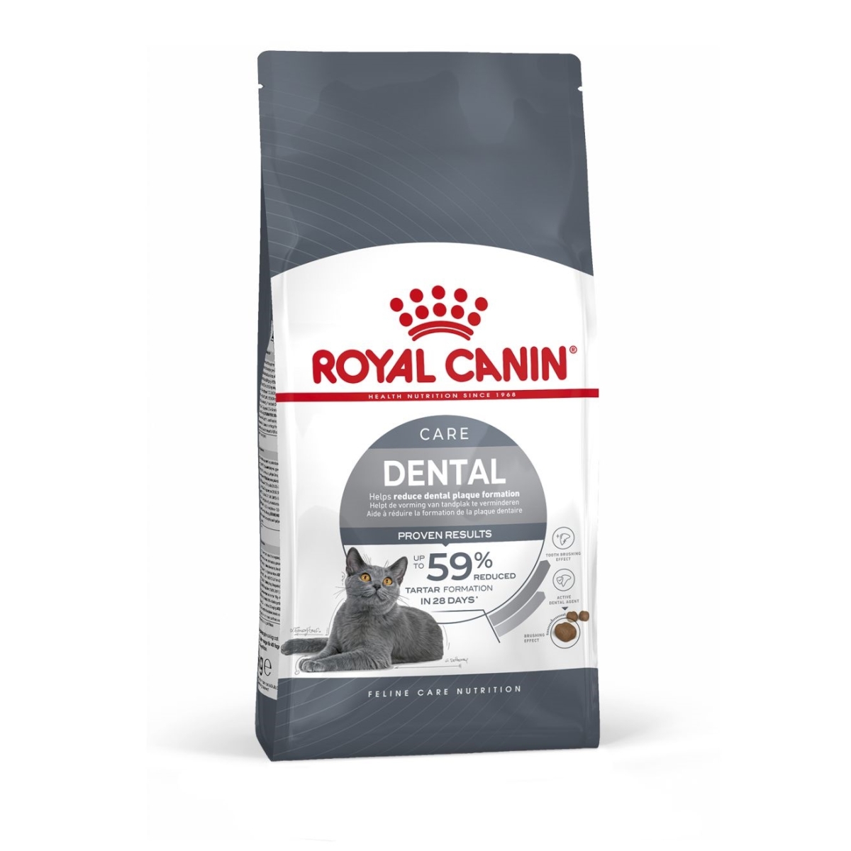 Royal canin kitten hot sale kaina