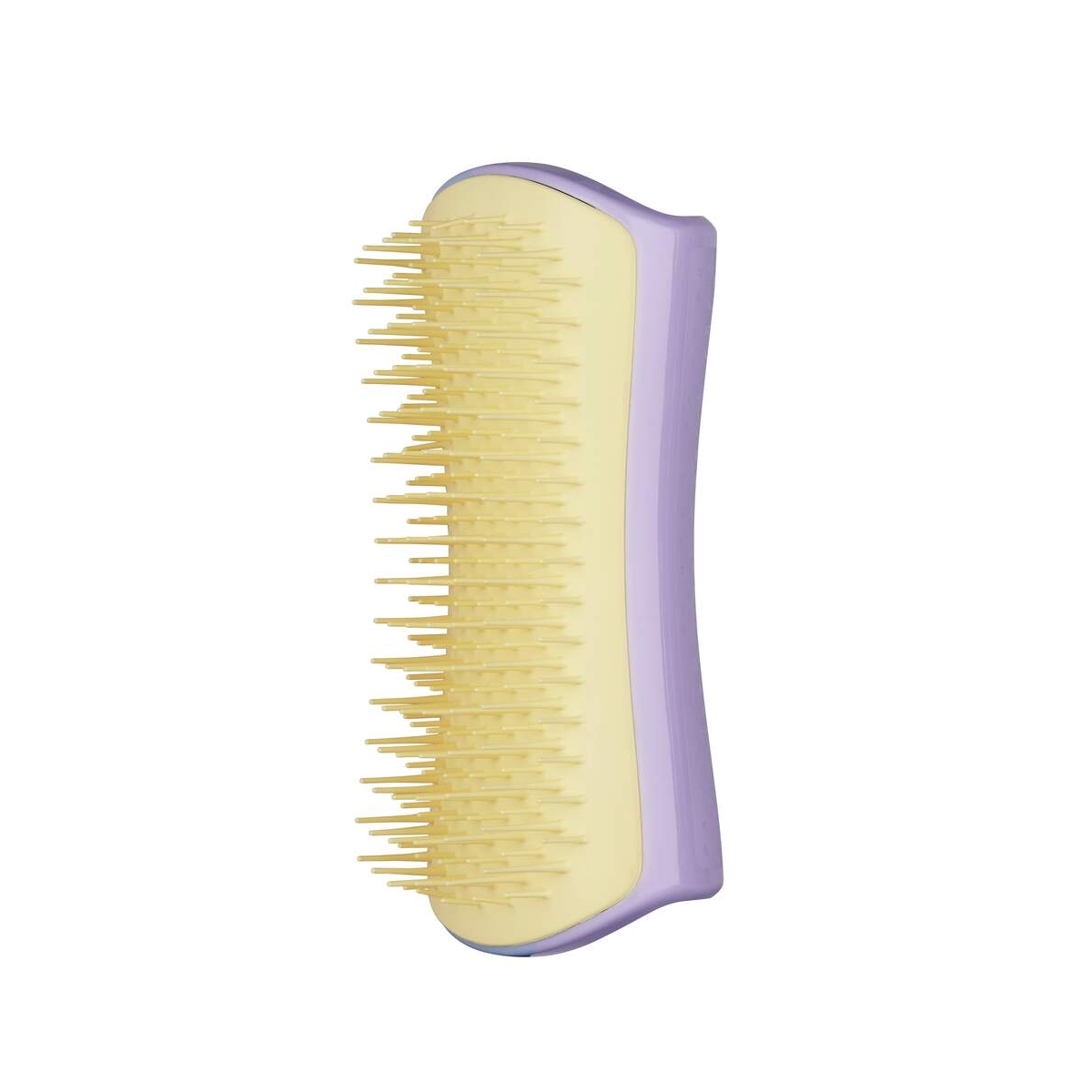 Pet Teezer Detangling Mini šepetys šunims, 12 cm - 