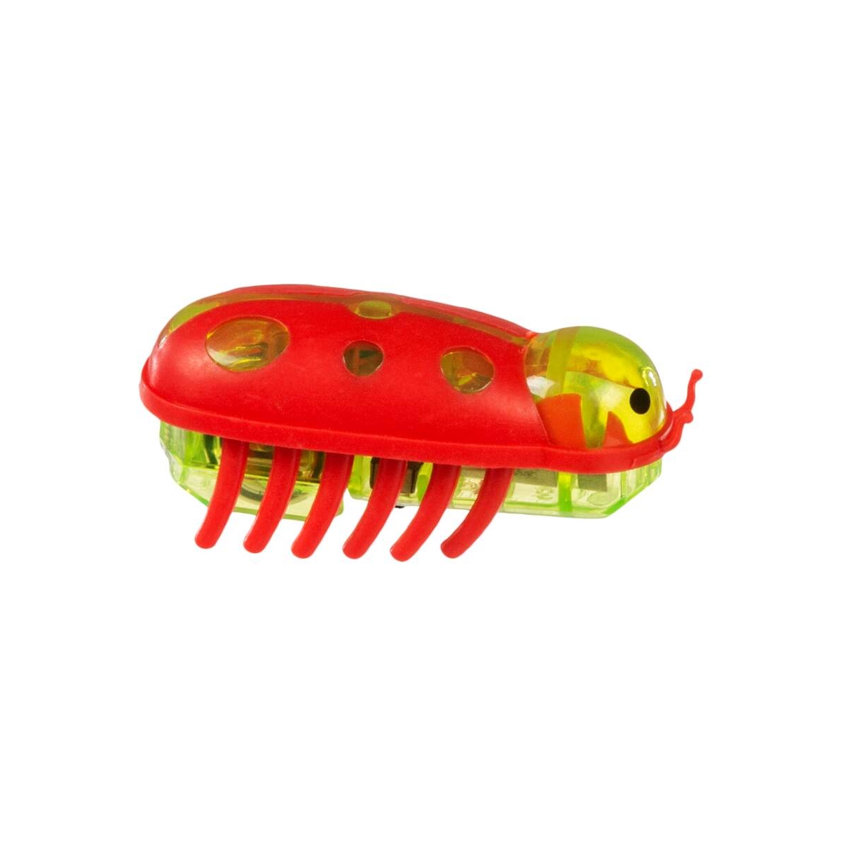 Little & Bigger kalėdinis interaktyvus žaislas katėms, vabzdys - 