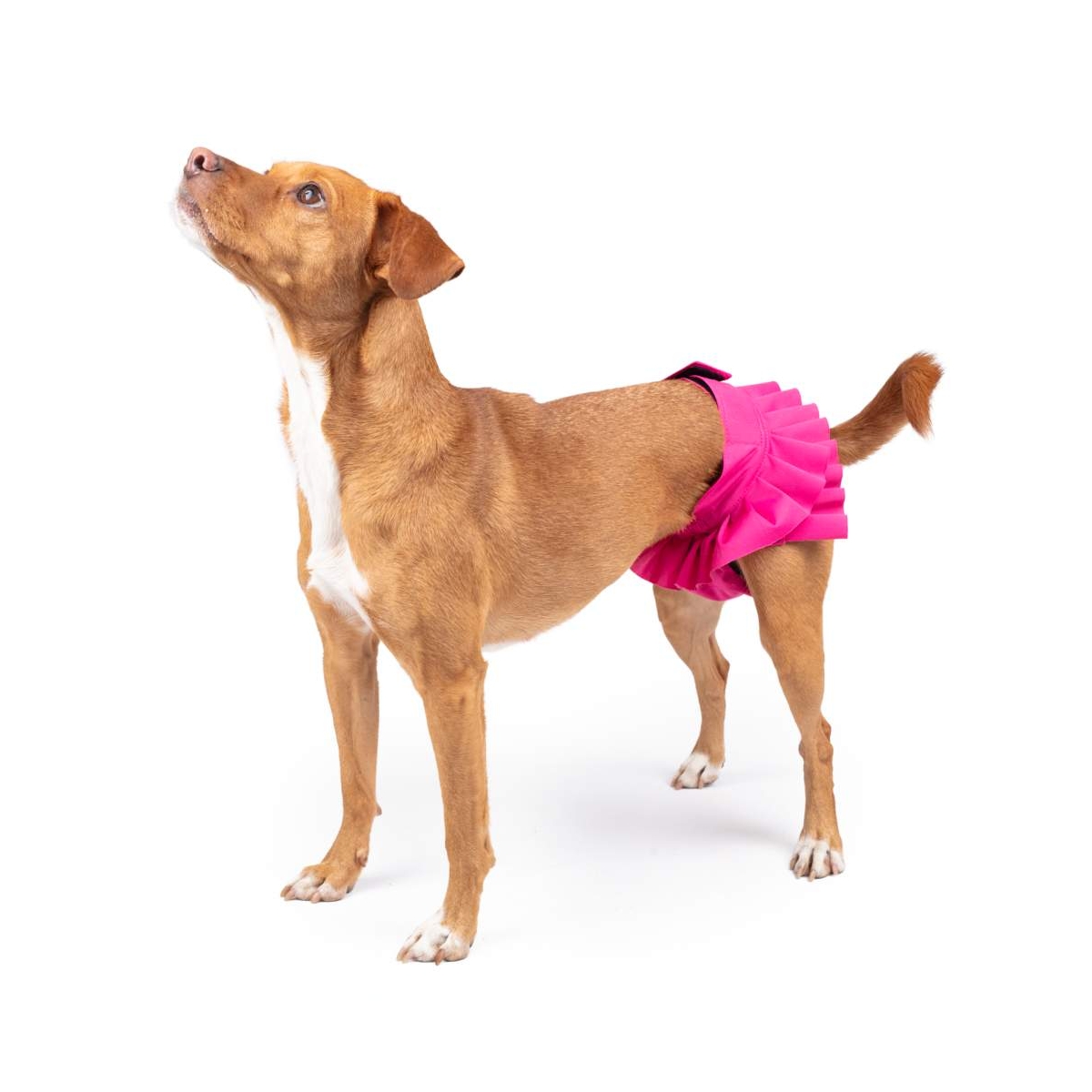 FINNERO BALLERINA HIGIENINĖS KELNAITĖS, ROŽINĖS SPALVOS, XXS DYDŽIO - 