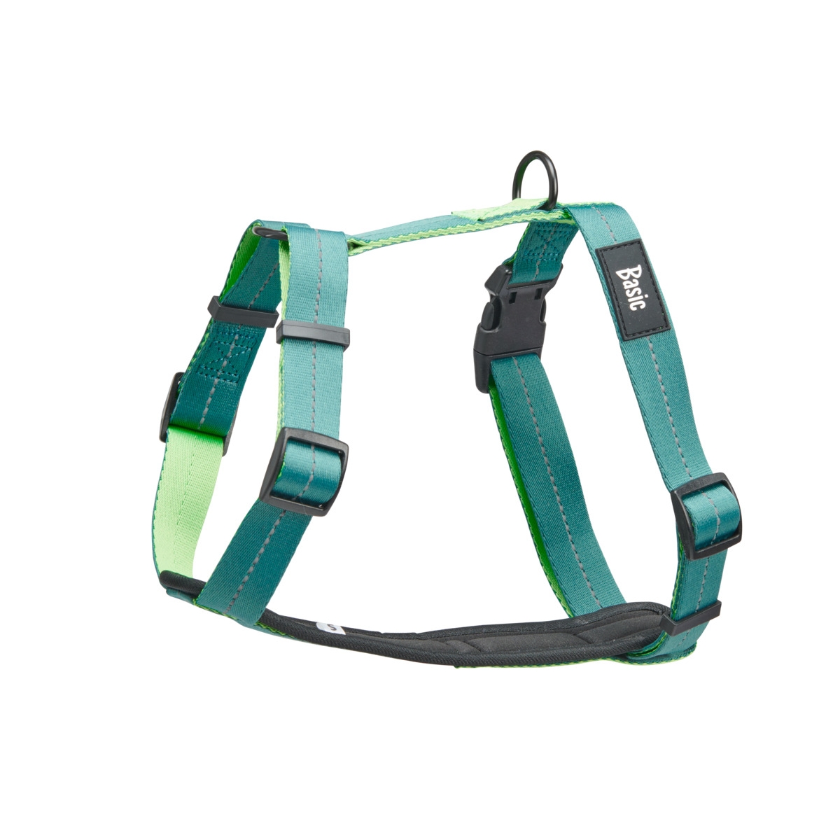 BASIC FRESH Y FORMOS PETNEŠOS, S DYDIS, ŽALIOS* - 