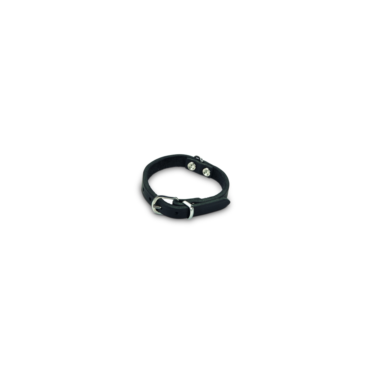Beeztees odinis antkaklis šunims 27 cm x 10 mm, juodas - 