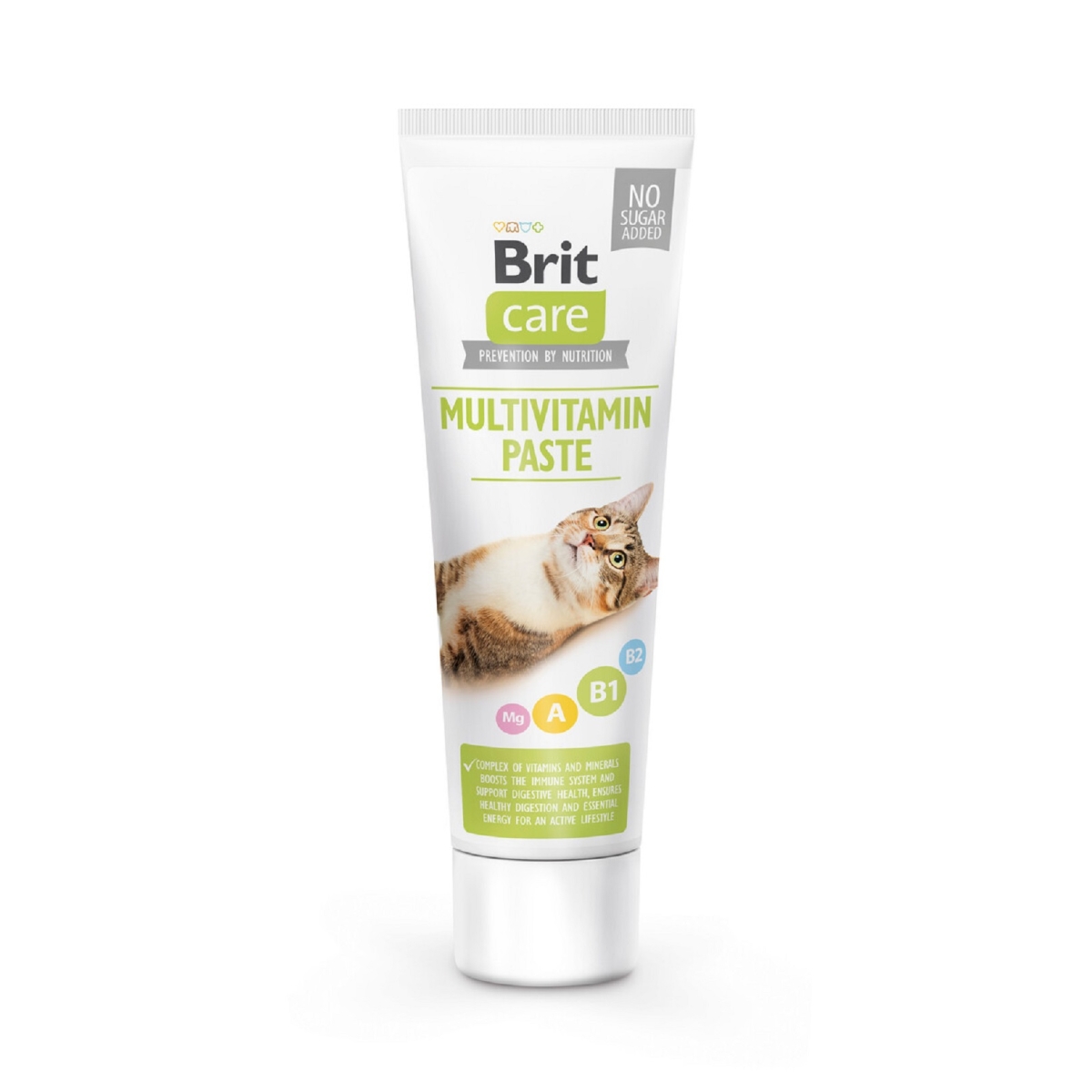 Brit Care multivitamin pasta katėms, 100 ml - 