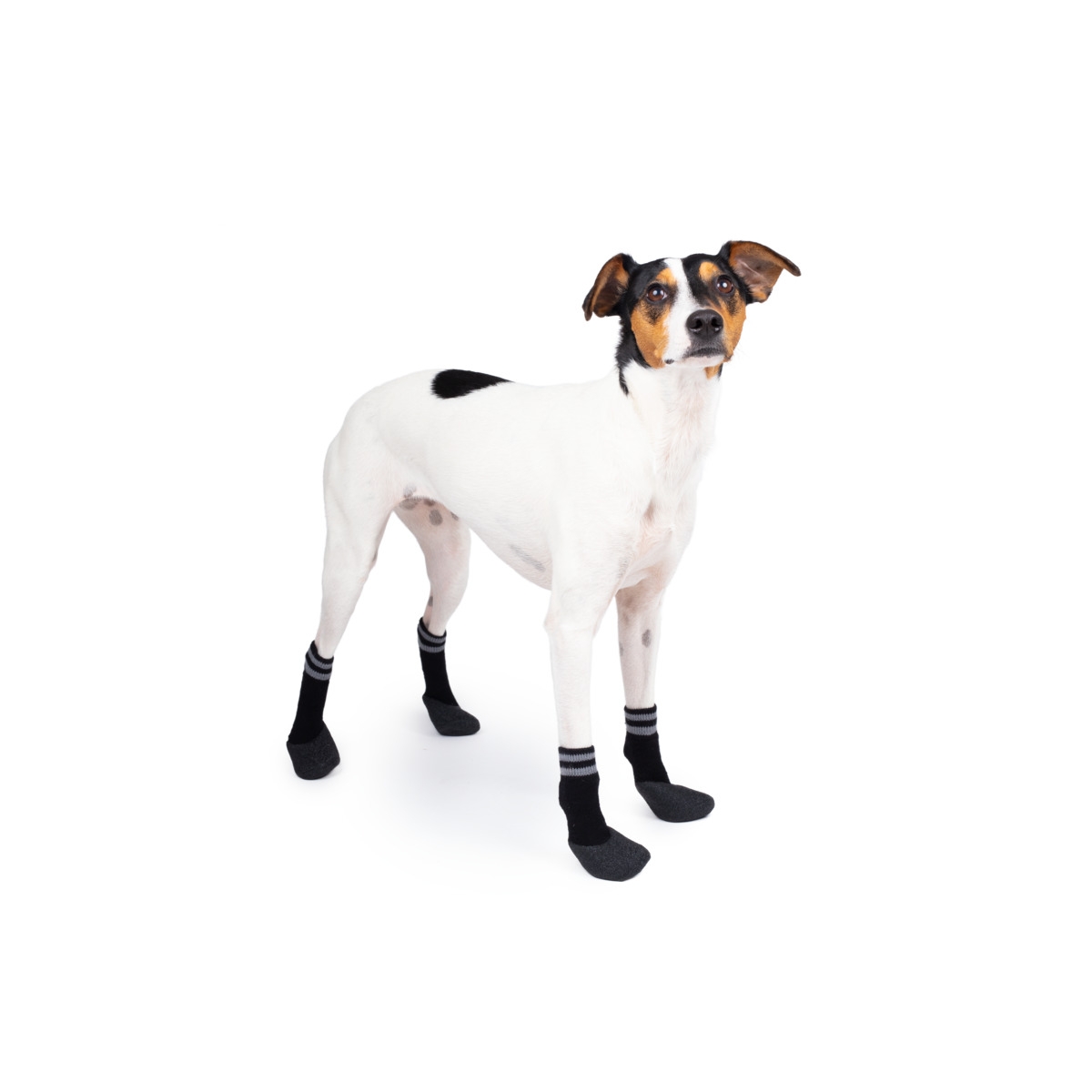 BASIC PAWS KOJINĖS, 4 VNT. 6 DYDIS, JUODOS* - 