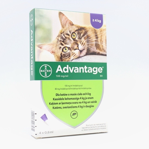 Advantage lašinamas antiparazitinis tirpalas katėms, 0,8ml, 1 vnt.