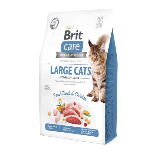 Brit Care Large Cats Power&Vitality sausas maistas katėms. 400 g