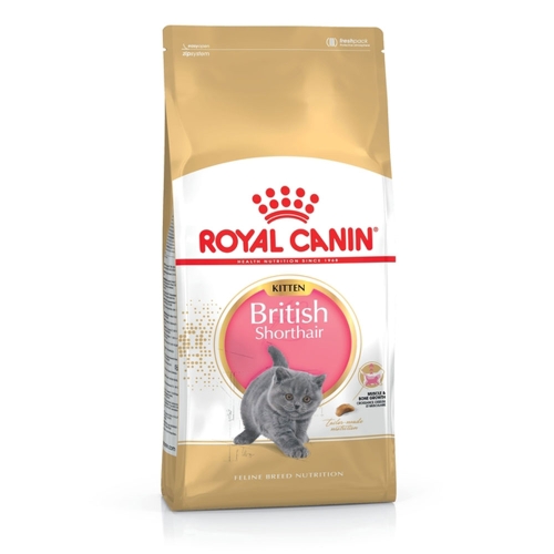 Royal Canin maistas britų trumpaplaukiams kačiukams, 400g