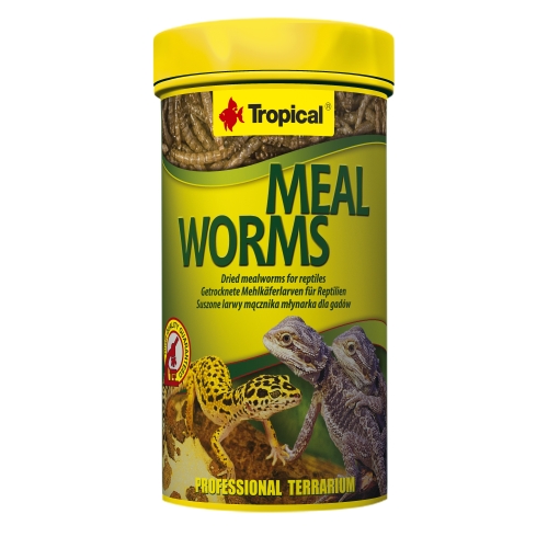 Tropical Meal Worms džiovintos lervos ropliams, 250ml