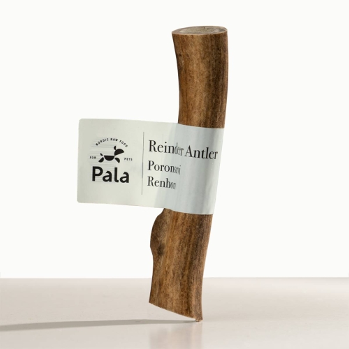 Pala šiaurės elnio rago kramtalas šunims, 125–250g