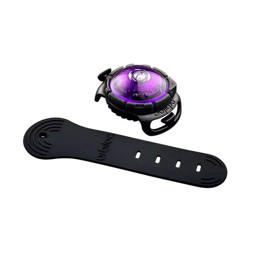 Orbiloc Dog Dual šviečiantis pakabukas, violetinis