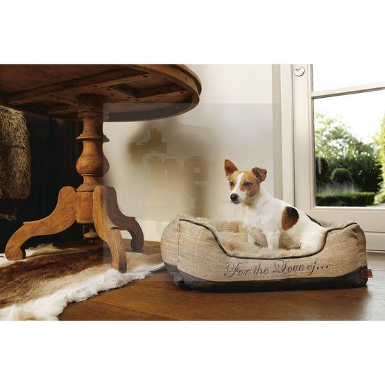 Beeztees Dallam guolis, 65x60x20cm -  2