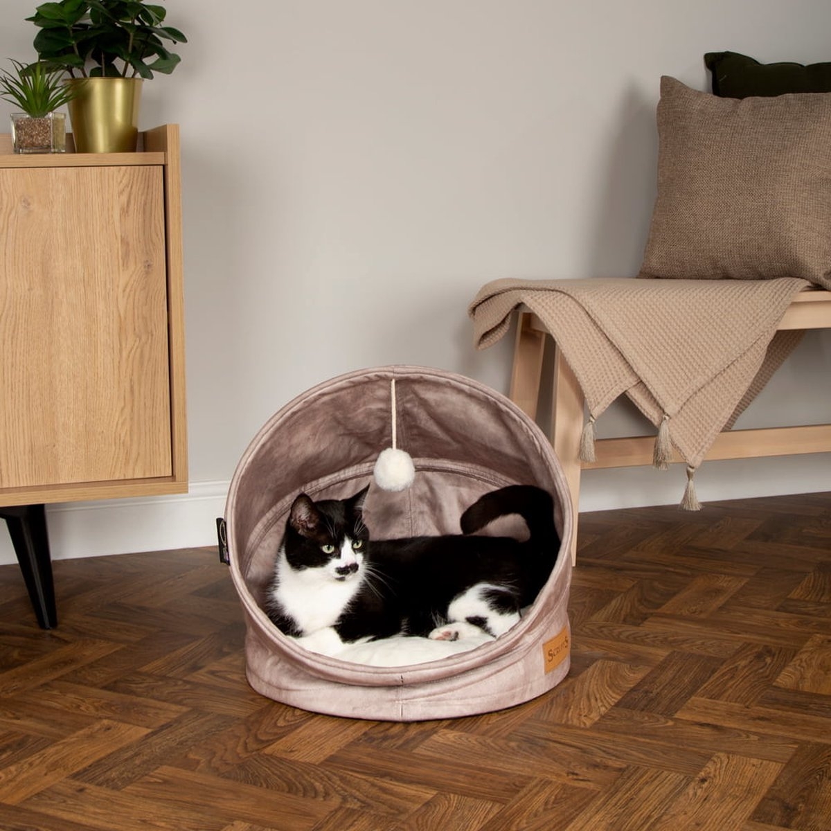 Scruffs Kensington guolis katėms, 44x44x48 cm, kreminės spalvos