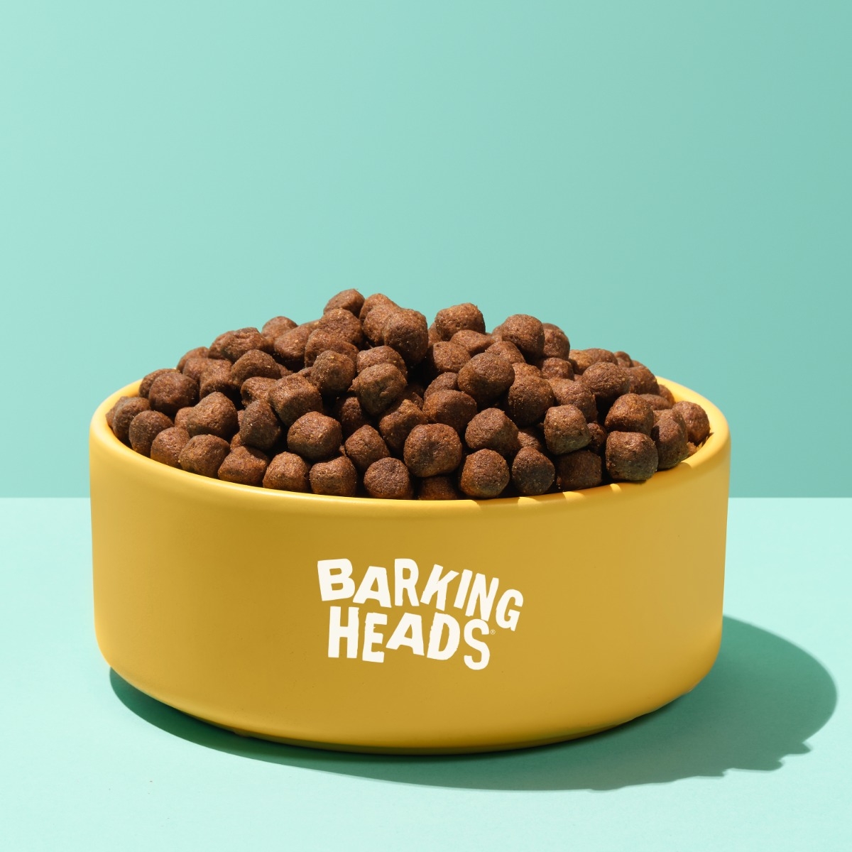 Barking Heads Hair Necessities sausas maistas šunims su lašiša, 2 kg -  3