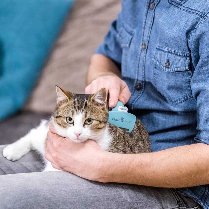 Furminator poplaukio šukavimo įrankis ilgaplaukėms katėms, S -  4