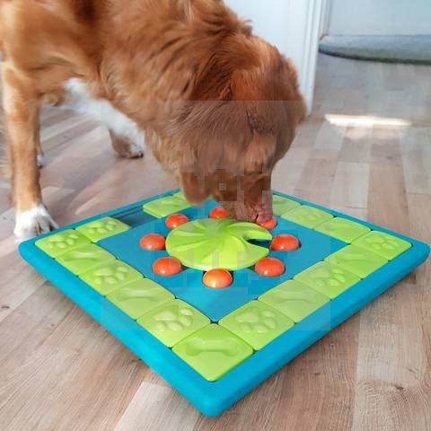Nina Ottosson Multipuzzle išmanioji dėlionė šunims, žalia