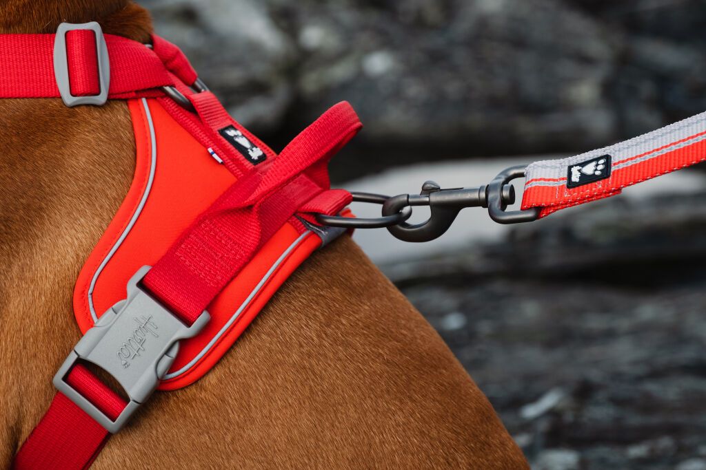Hurtta Weekend Warrior Eco petnešos 40-45 cm, oranžinė