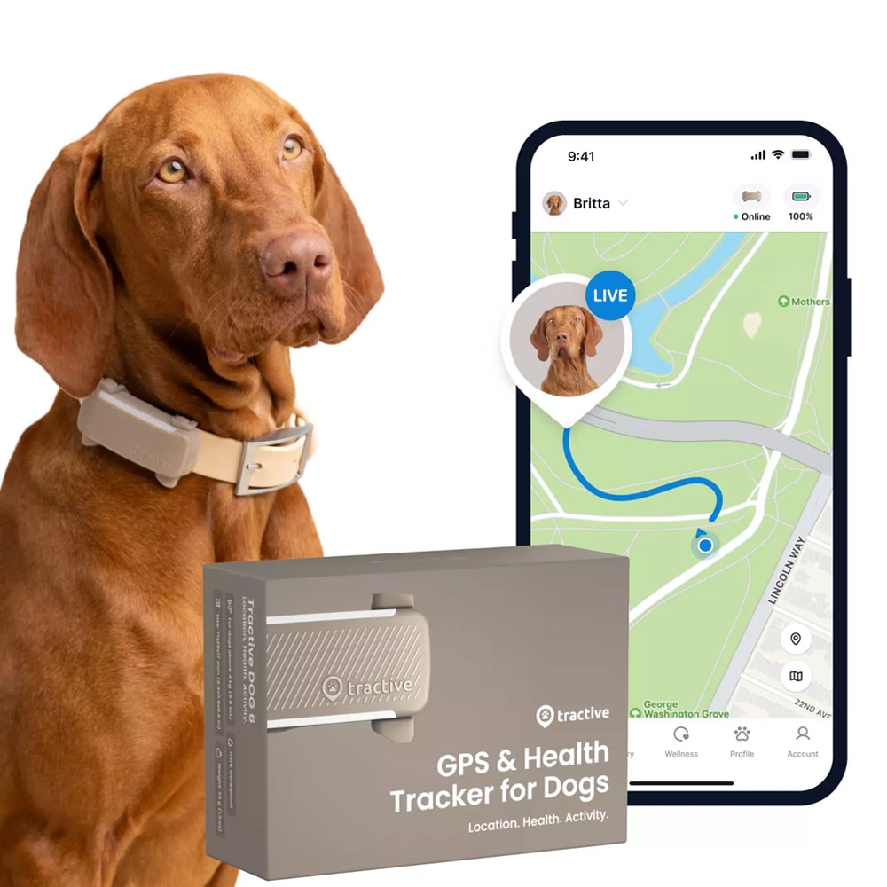 Tractive GPS sekiklis šunims nuo 4 kg, smėlio spalvos -  2