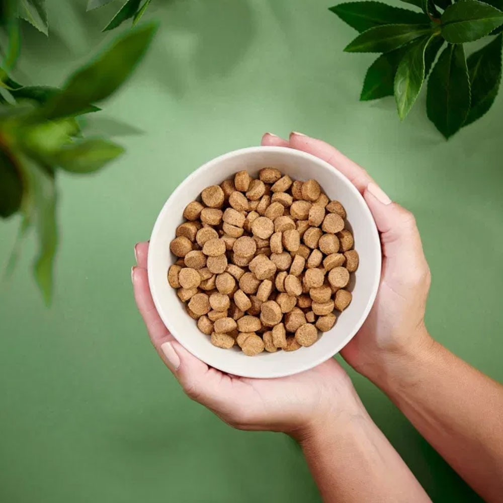 Purenatural sausas maistas vidutinių veislių šunims su vištiena, 2 kg -  2
