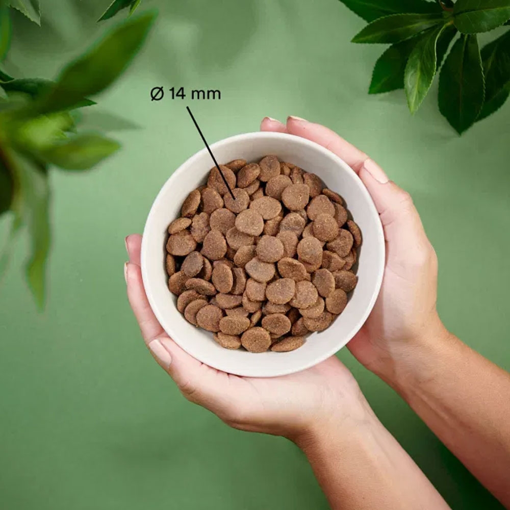 Purenatural begrūdis sausas maistas šunims su kiauliena, 2 kg -  2