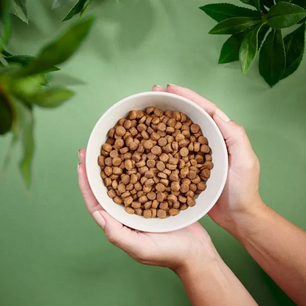 Purenatural sausas maistas šuniukams su vištiena, 8 kg -  2