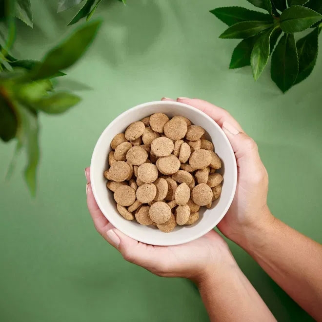 Purenatural sausas maistas didelių veislių šuniukams su višt., 2 kg -  2