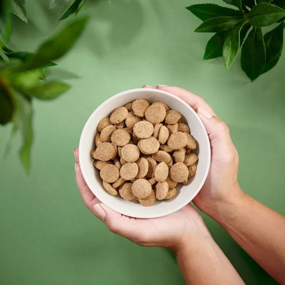 Purenatural sausas maistas didelių veislių šuniukams su višt., 12 kg -  2