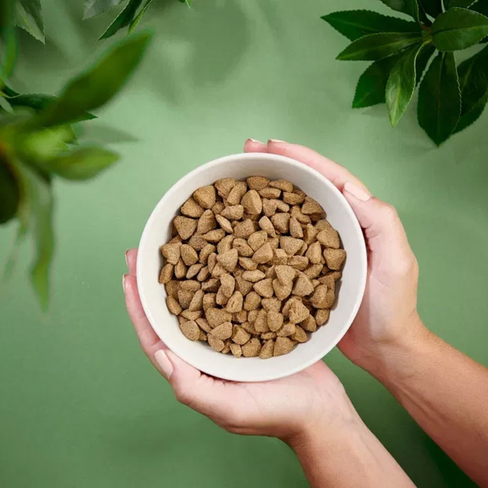 Purenatural Sensitive sausas maistas šunims su lašiša, 2 kg -  2