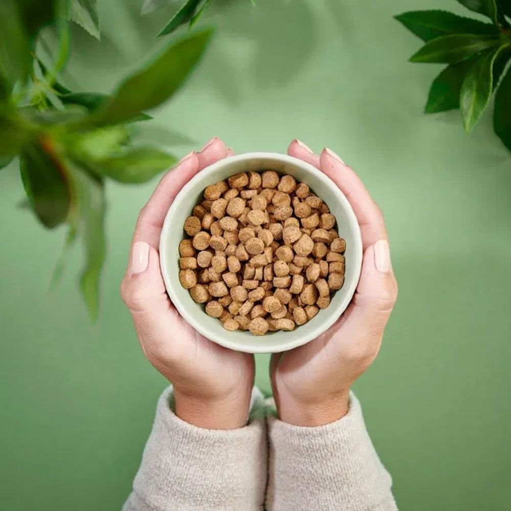 Purenatural maistas sterilizuotoms katėms su vištiena, 400 g -  2