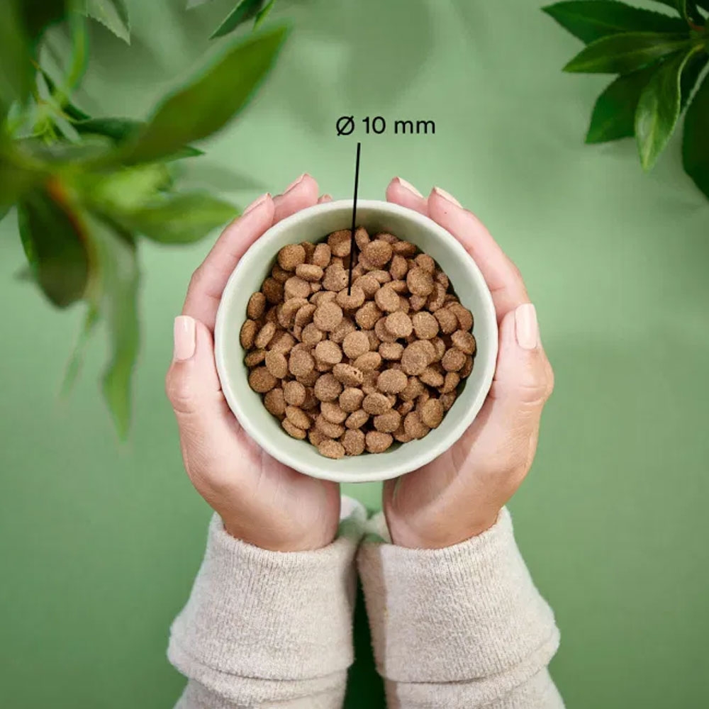 Purenatural maistas katėms su ėriena, 2 kg -  2