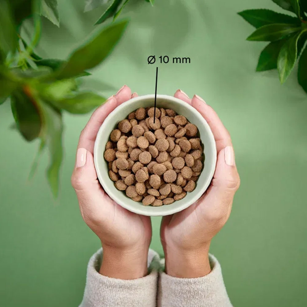 Purenatural Sensitive maistas katėms su kiauliena/šerniena,10 kg -  2