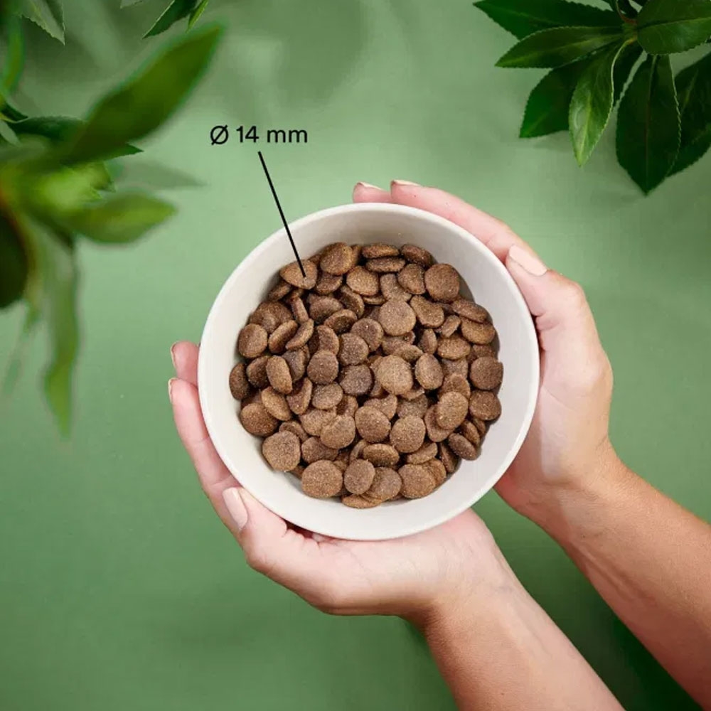Purenatural begrūdis sausas maistas šunims su ėriena, 2 kg -  2