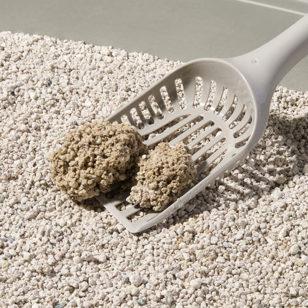 Compact Care Premium White mažiau išsinešiojantis kraikas katėms, 10kg -  2