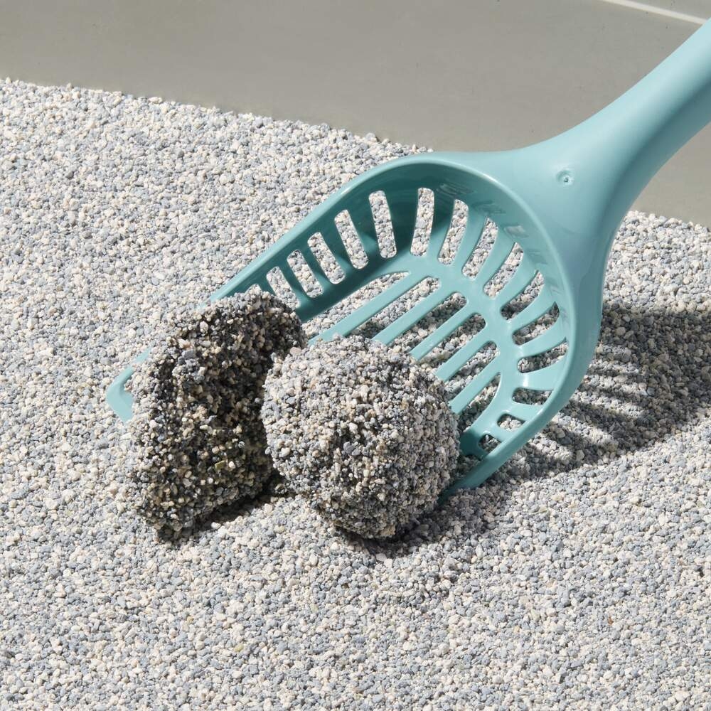 Compact Care Probiotic kraikas katėms su probiotikais, gėlių kvapo, 10l -  2