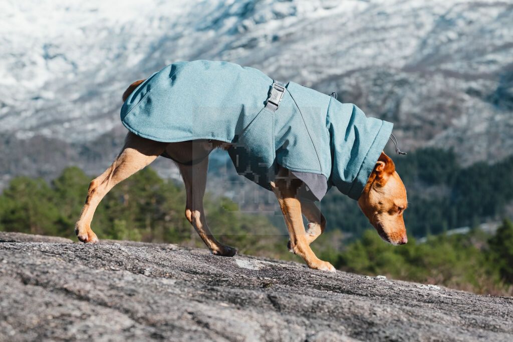 Hurtta Expedition Parka striukė, 25cm, mėlyna -  3