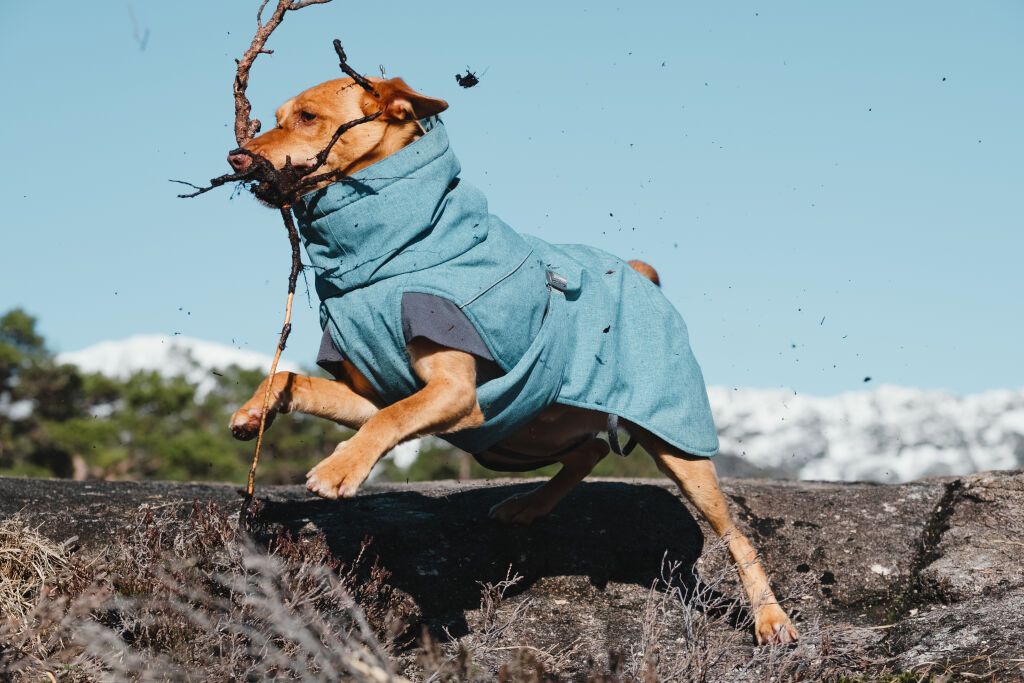 Hurtta Expedition Parka striukė, 35-XL cm, mėlyna -  4
