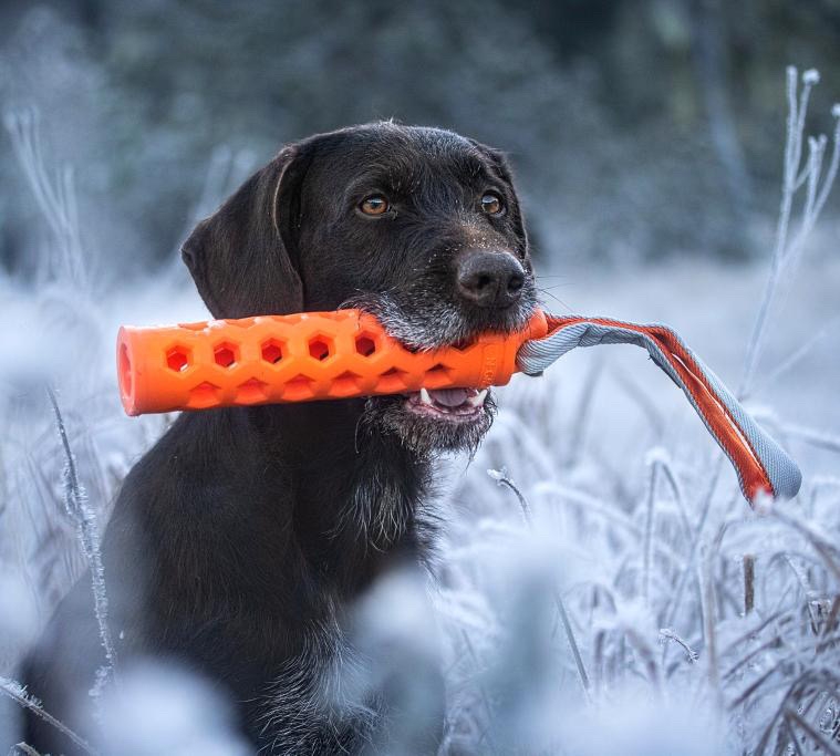 N‑Gage Active Bumper aktyvaus žaidimo žaislas šunims, S dydis -  3