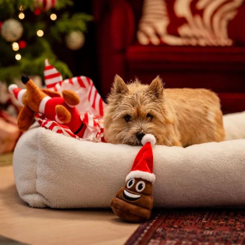 Little & Bigger kalėdinis žaislas katėms "HappyPoop", 2 vnt -  2