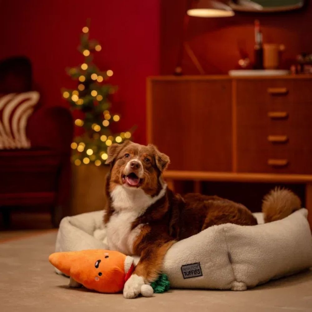 Little & Bigger žaislas šunims kalėdinė morka, XL dydis -  2