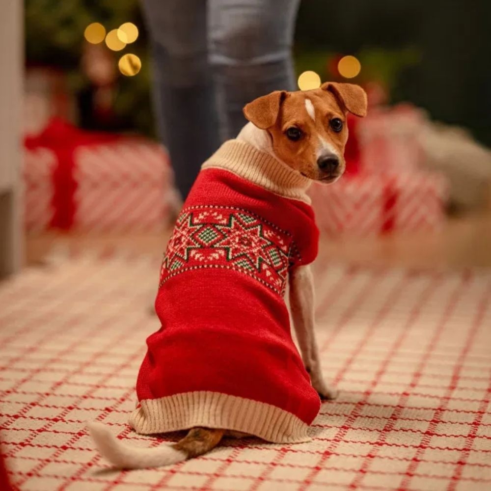 Little & Bigger Nostagic kalėdinis megztinis šunims, 30 cm, raudonas -  2