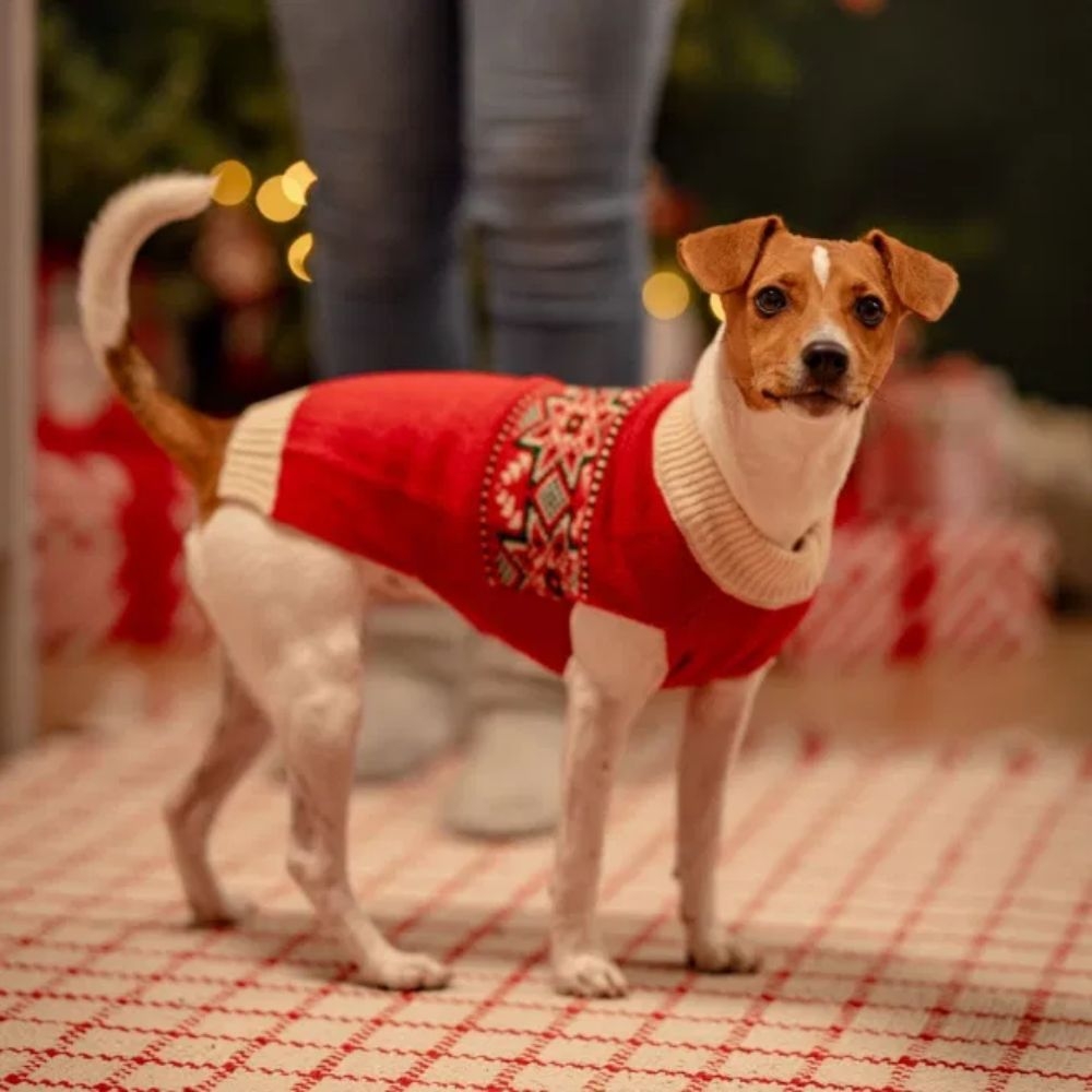 Little & Bigger Nostagic kalėdinis megztinis šunims, 25 cm, raudonas -  3