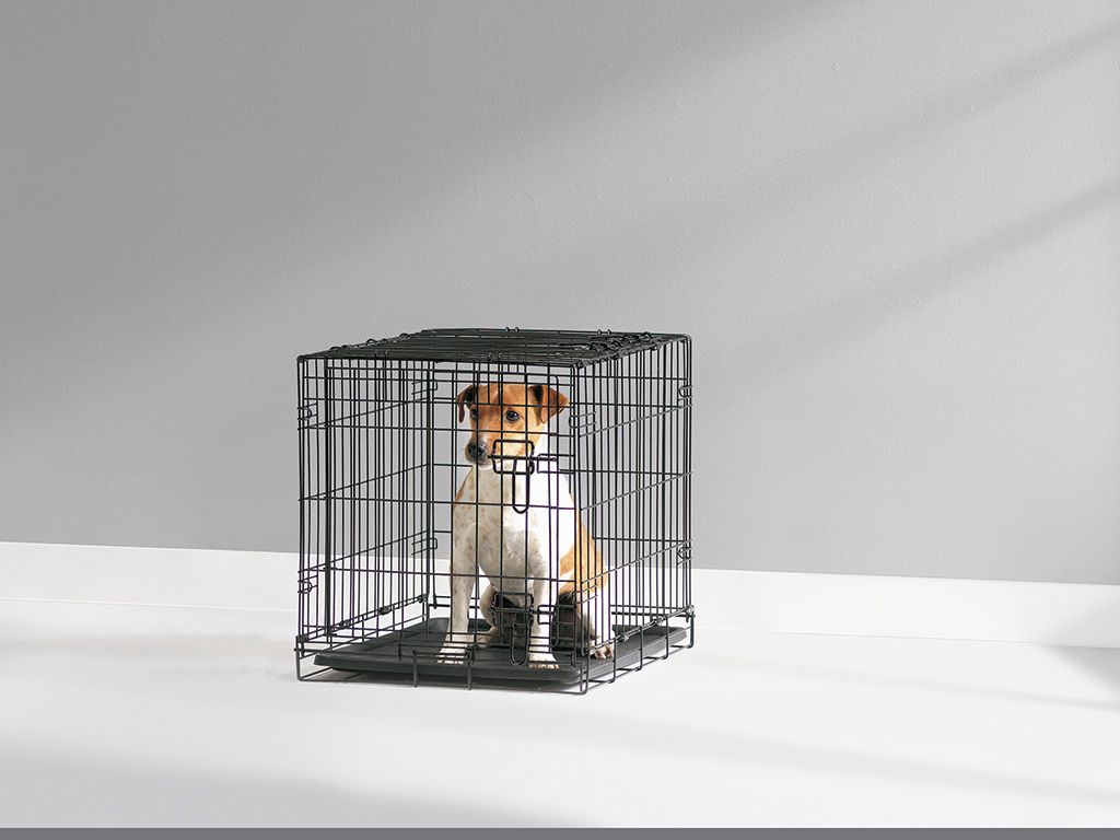 Savic Dog Cottage metalinis šuns narvas, 50x30x36,5 cm -  2